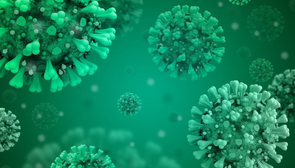 82b68207-fb03-45cf-887c-9601e6801066