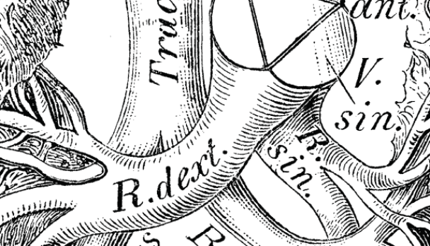 Philip Lee Feature Image