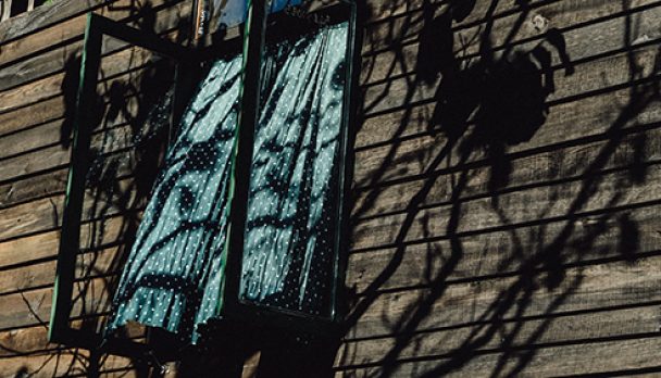 pexels-dương-nhân-1701409_Cropped