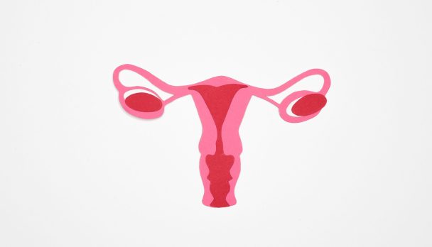 pexels-nadezhda-moryak-7467100-scaled