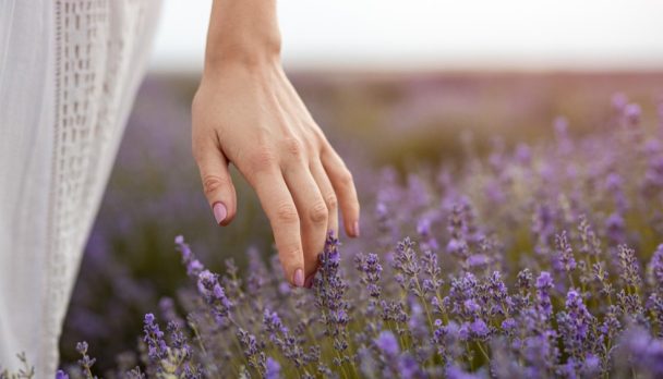 shutterstock_1628048116(1)