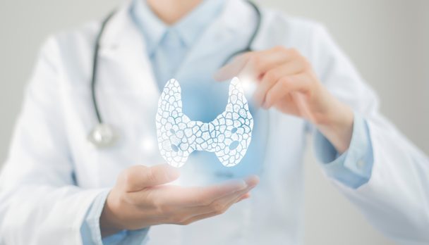 Female,Doctor,Holding,Virtual,Thyroid,Gland,In,Hand.,Handrawn,Human