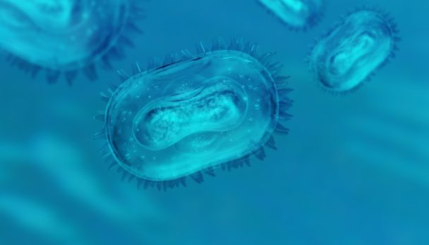 Monkeypox,Virus,Model.,Concept,Of,Searching,For,Antibodies,To,Monkeypox