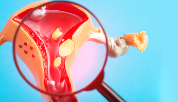 shutterstock_2442421165(2)