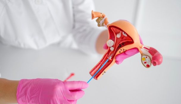 shutterstock_2522993017